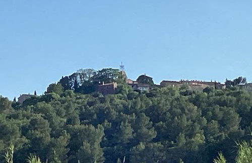 Le petit ribbas - Foto 3