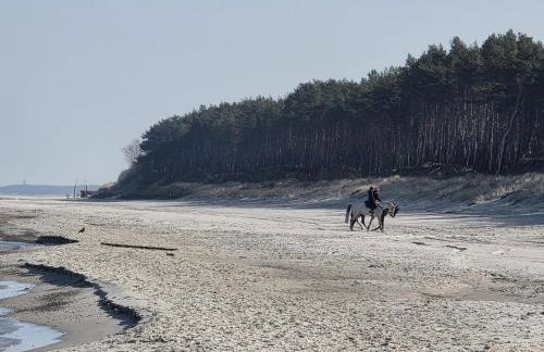 Krystal Apartment - kompleks Hevenia Pogorzelica - Photo 44