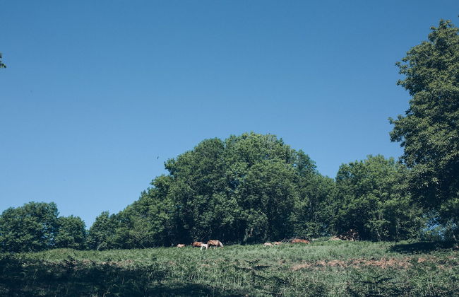 Casa Rural Toki Ona - Foto 34