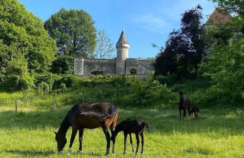 Séjour Historique au Domaine de Migny : Gîte avec Bain Nordique et Piscine - FR-1-591-731 - Foto 23