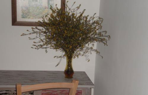 Mas del Salin - Foto 36