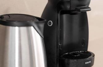 Salamandra - Photo 25