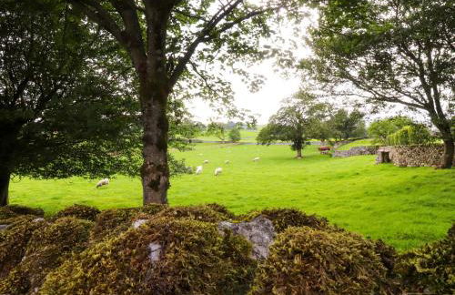 Welly Bob Cottage - Foto 38