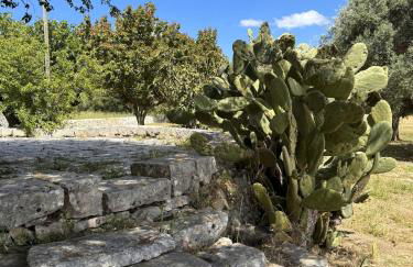 Trulli Donna Gina - Foto 4