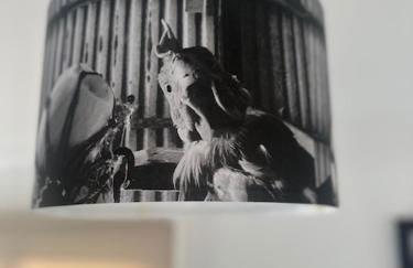 Bowmore 7 - Stunning Sea Views, Farm Stay - Foto 22