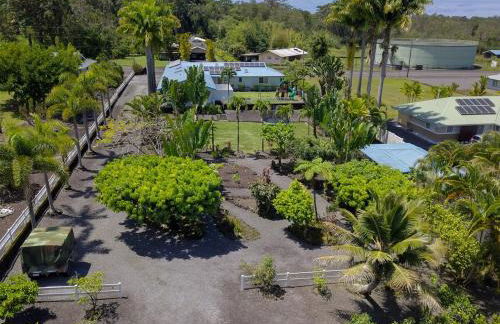 Tropical Retreat GuestHouse - Foto 19