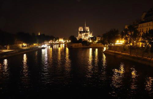 Paris-sur-seine-chez-caroline - Photo 38