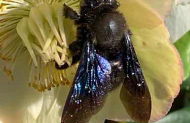 Gästehaus EinsA - Photo 30