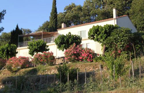 La Maison De La Cadière - Foto 4