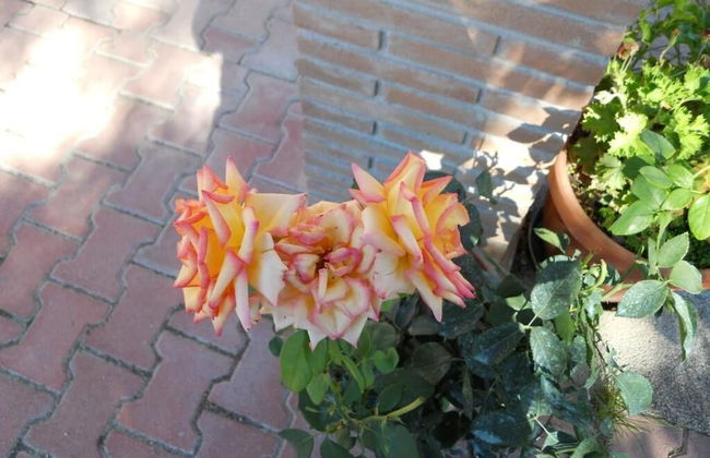 Agriturismo Monti Sibillini Camperato - Photo 28