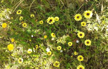 Quinta D' LuzArcoIris - Foto 54