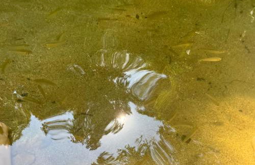 Recanto Serra e Mar - Foto 36