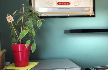 BedinReims luxe wonderful calm in city center, ideal for 2 adults and 3 children free parking - Foto 34