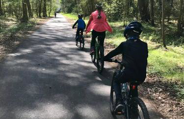 Zalotna Mewa Gąski - Photo 24