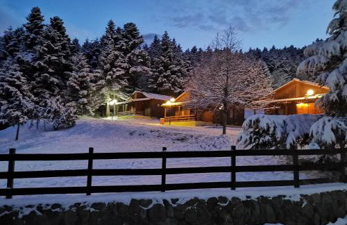 Livadaki Village - Δασικό Χωριό Λιβαδάκι - Foto 5