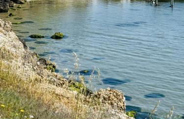 Casa DeDa-Mare & Design on the Trabocchi Coast - Foto 39