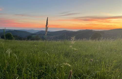Ferienwohnung "Klatschmohn" - DrostenHof Nordenau - Foto 24