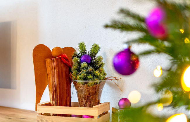 Ferienwohnung Plattner - Foto 55