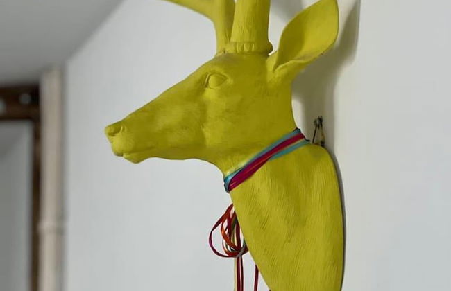 2 Bed Grade 2 - Dates Back to 1500's - Foto 21