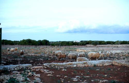 Agroturismo Matxani Gran - Foto 32