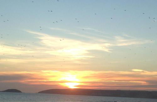 Bay View, Millendreth Looe Cornwall - Foto 12