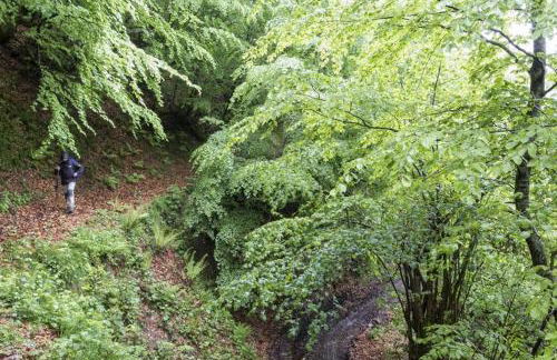 Los Molinos - Atico en Montaña de Asturias - Foto 51