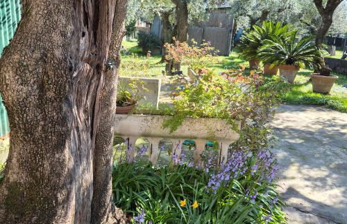 La Casa Del Giardino Degli Olivi - Foto 25