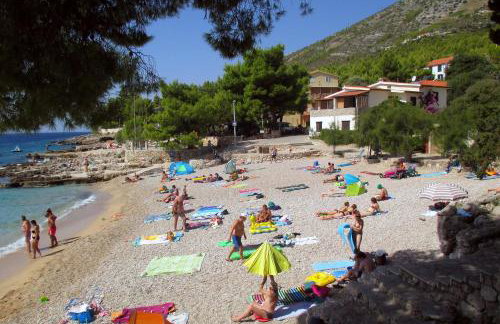 Apartments with parking space Ivan Dolac - Hvar - 24264 - Foto 3