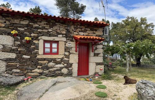 Quinta da Cabrida - Casa do Feitor - Douro - Foto 14