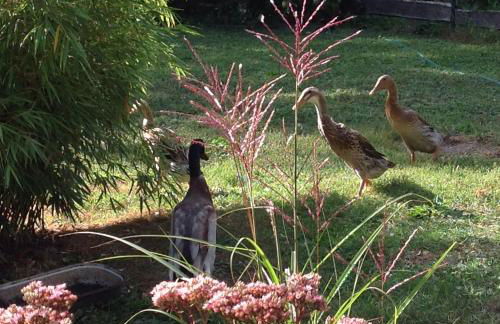 Auszeithaus Brigittenhof - Photo 10