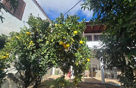 The Haven of Happiness - Foto 2