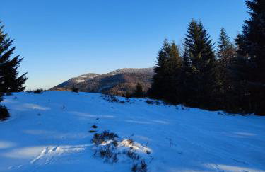 BliżejGorców - Foto 33