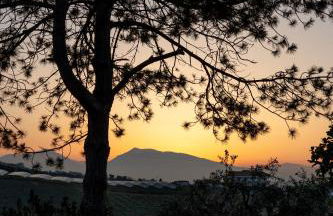 La casa di Ernino - Foto 6