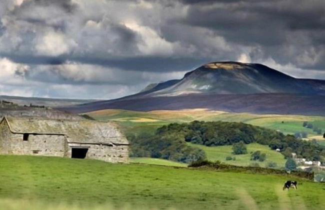 Linton Court Coach House - Photo 39