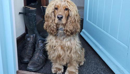 The Linhay - Photo 4