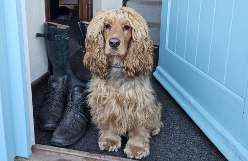 The Linhay - Photo 4