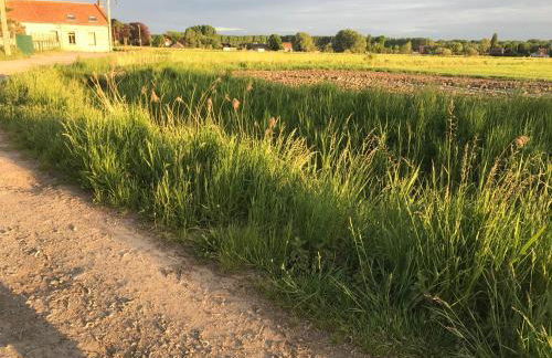 Gites du bien-hêtre - Foto 9