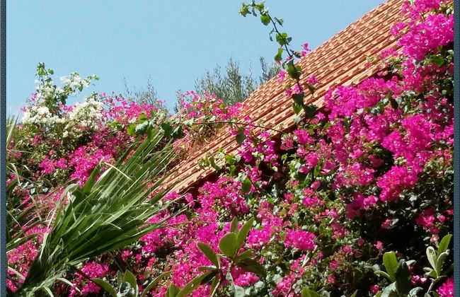 Exclusive Cottages in a Quiet Oliverove Near the sea - Foto 13