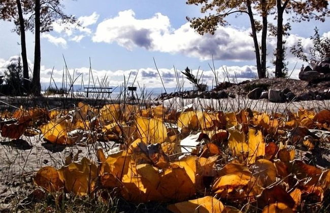 Tahoe Sands Resort - Foto 4