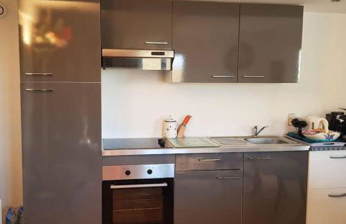 Charmant T3 en rez de jardin d'une villa - Foto 4