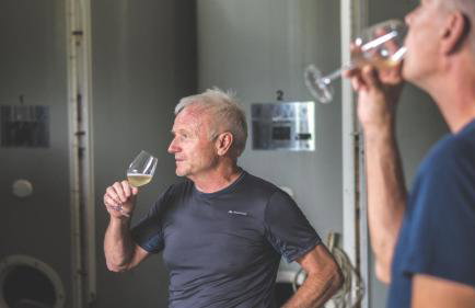 Domaine - Vignoble - Jacuzzi - Sauna - 14 à 18 pers - Foto 76