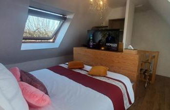 Gite MERLIN Spa Privatif et Sauna - Foto 11