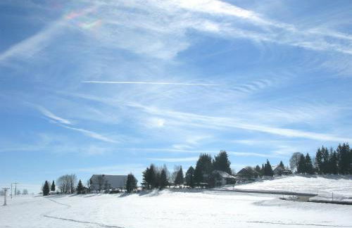 Apartment Alpenblick by Interhome - Foto 10