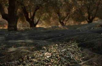 Peaceful Luxury Farmhouse - Stunning Alps Views - Foto 41