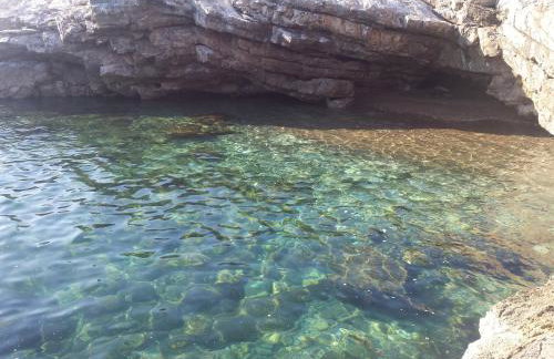 Sea apartment by beach Vine, olive oil tasting, kajaks, grill - Photo 62