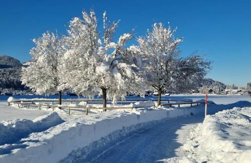 Alpenherz Obermaiselstein - Photo 30