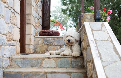 Small paradise in Saint Nicolas Village ! - Foto 40