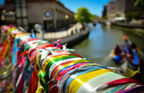 Sal, Terra e Mar - Foto 25