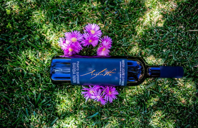 Agriturismo Uliveto Saglietto - Photo 48