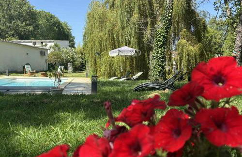 Gîtes Terra di a Bravona - Foto 61